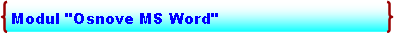 Double Brace: Modul "Osnove MS Word"