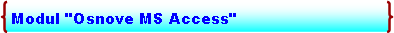 Double Brace: Modul "Osnove MS Access"