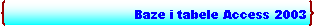 Double Brace: Baze i tabele Access 2003