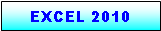 Text Box: EXCEL 2010